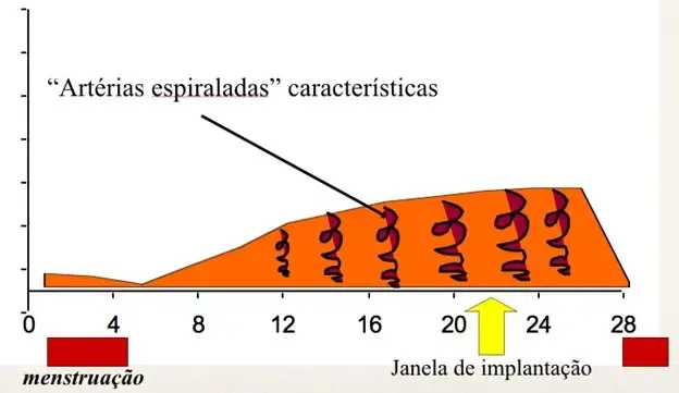 A janela de implantação